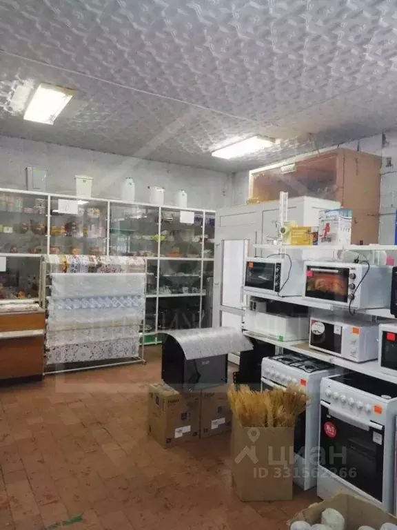 Помещение свободного назначения в Омская область, Муромцево рп ул. ... - Фото 2