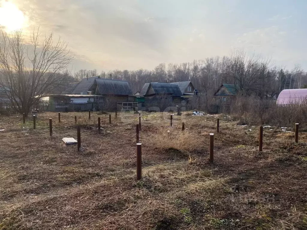 Участок в Курганская область, Кетовский муниципальный округ, Иволга-24 ... - Фото 1