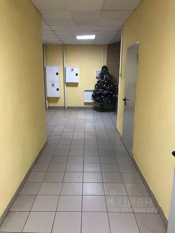 3-к кв. Ростовская область, Ростов-на-Дону Адыгейская ул., 30 (97.0 м) - Фото 1