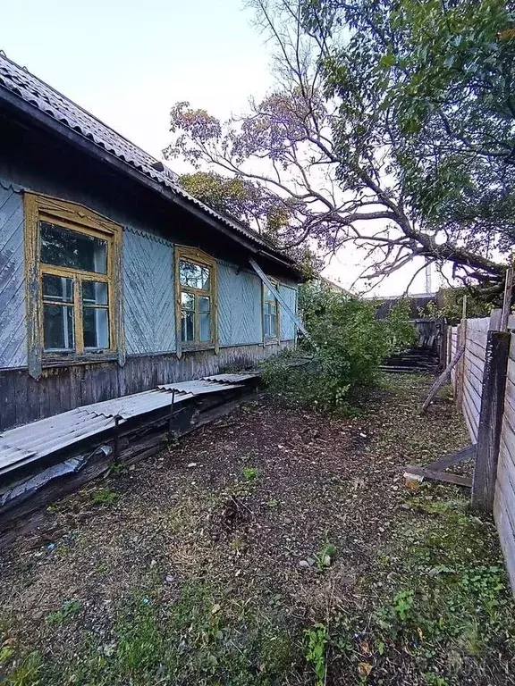 Дом в Еврейская автономная область, Биробиджан  (52 м) - Фото 2