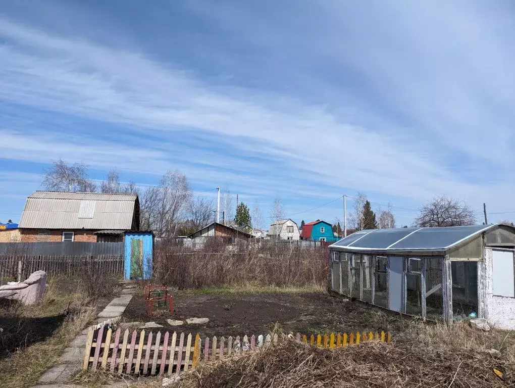 Участок в Новосибирская область, Новосибирский район, Толмачевский ... - Фото 0