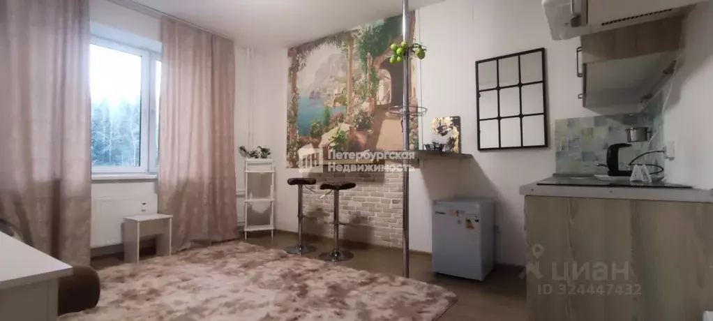 Студия Ленинградская область, Всеволожский район, д. Новое Девяткино ... - Фото 1