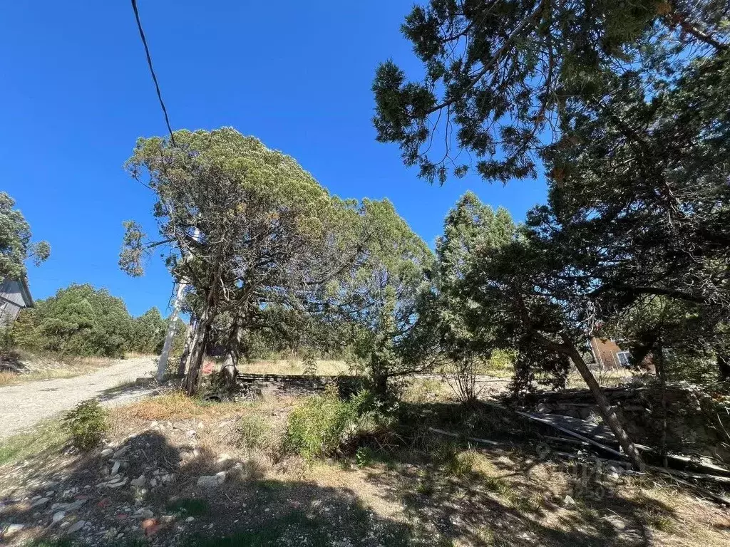 Участок в Краснодарский край, Геленджик городской округ, с. Кабардинка ... - Фото 1
