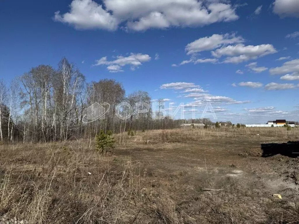 Участок в Тюменская область, Тюменский муниципальный округ, ... - Фото 2
