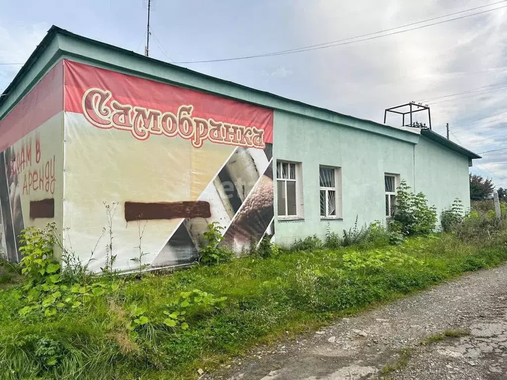 Помещение свободного назначения в Свердловская область, Новая Ляля ул. ... - Фото 0