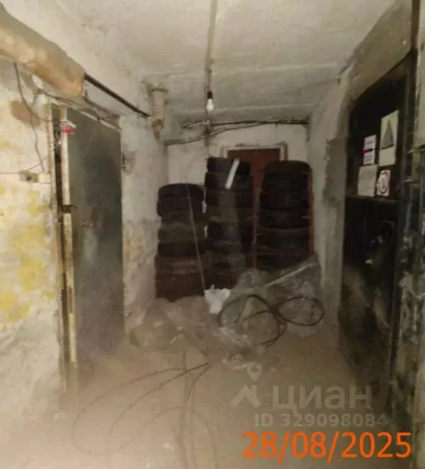 Помещение свободного назначения в Нижегородская область, Нижний ... - Фото 1