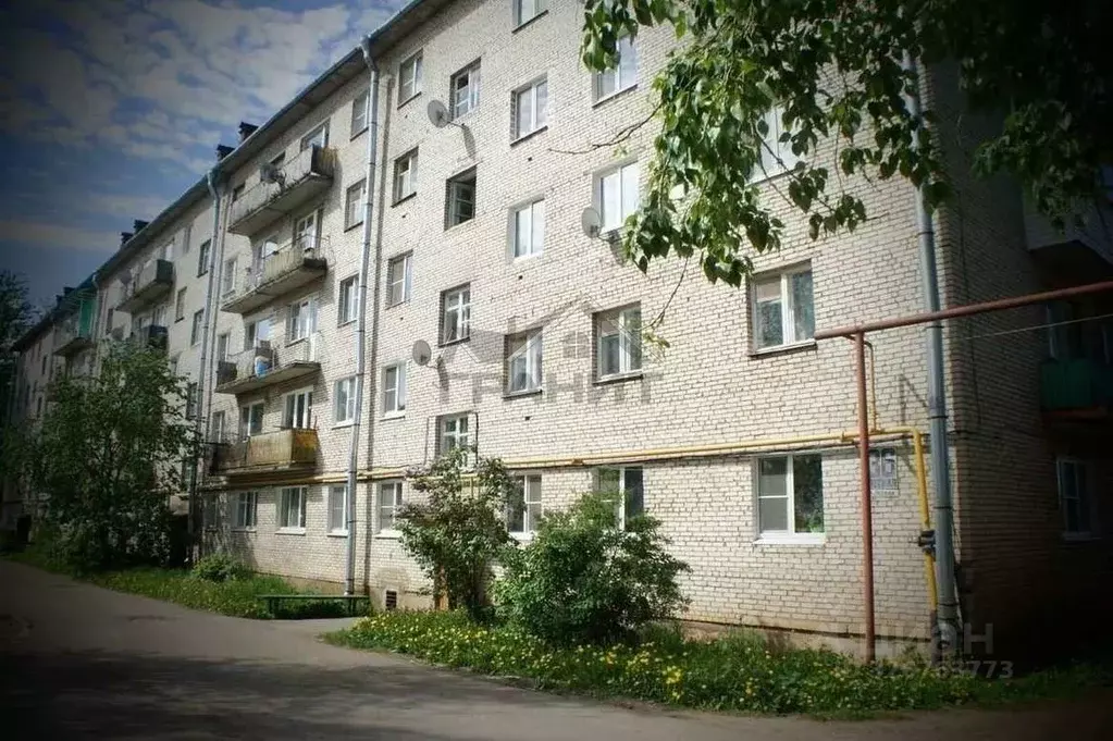4-к кв. Новгородская область, Малая Вишера Лесная ул., 36 (60.3 м) - Фото 1