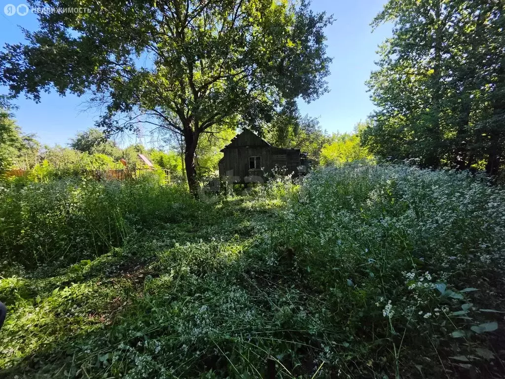 Участок в Брянск, садоводческое общество Десна-2 (5 м) - Фото 1