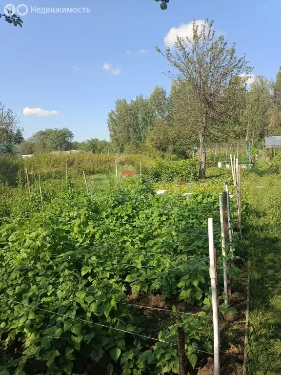 Участок в Новоусадебское сельское поселение, садоводческое ... - Фото 2