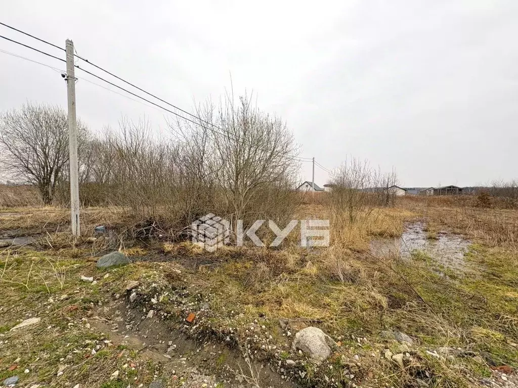 Участок в Калининградская область, Гурьевский муниципальный округ, ... - Фото 2