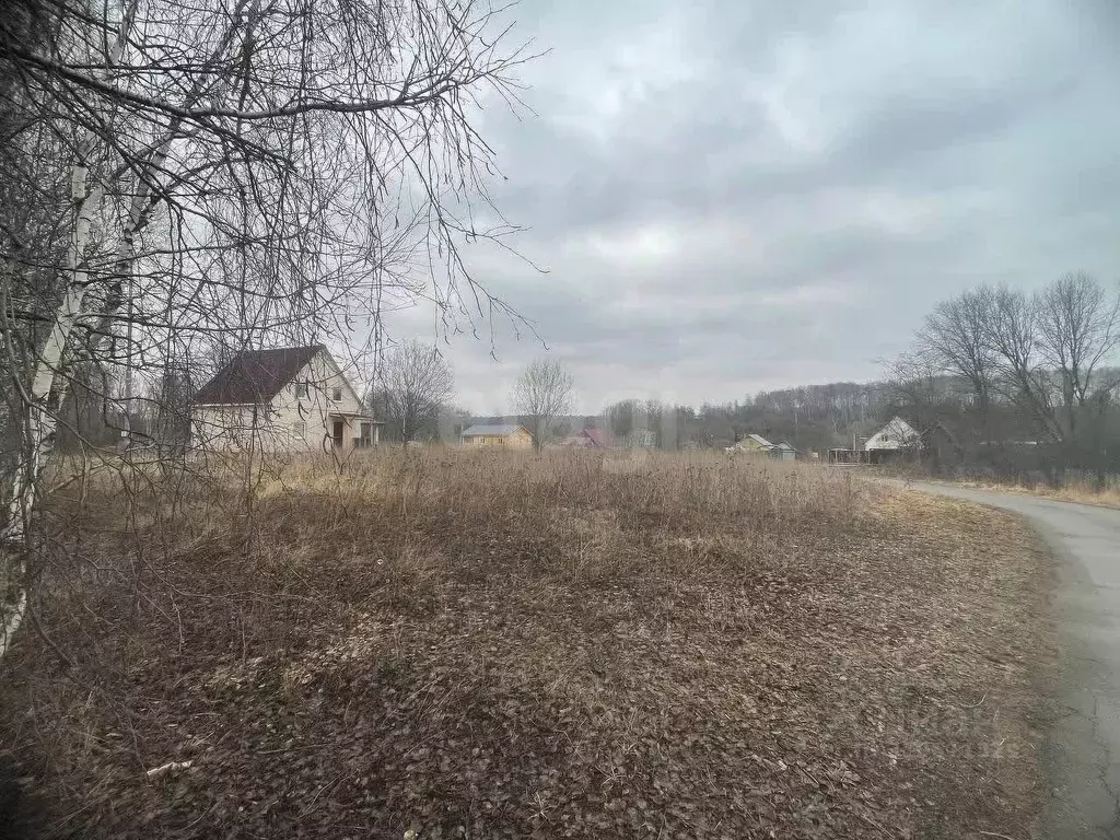 Участок в Московская область, Домодедово городской округ, д. Тургенево ... - Фото 1