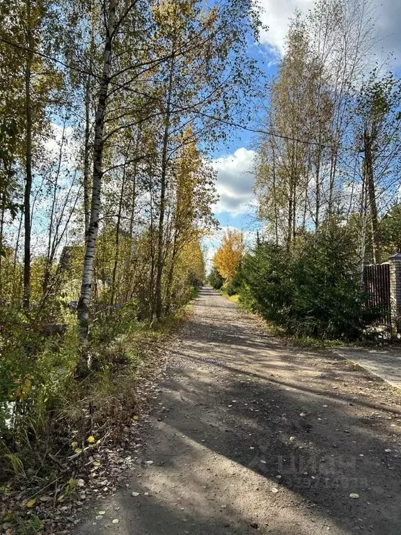 Участок в Санкт-Петербург, Санкт-Петербург, Павловск Павловское-2 СНТ, ... - Фото 1