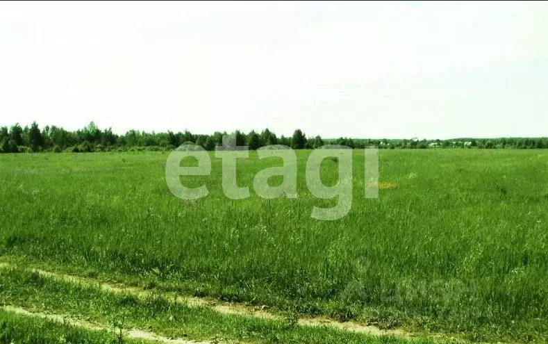 Участок в Калужская область, Тарусский муниципальный округ, Некрасово ... - Фото 1