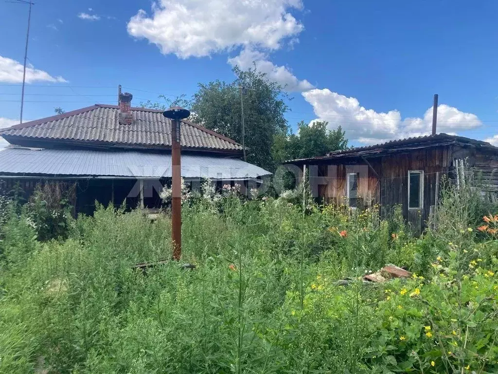 Дом в Новосибирская область, Коченевский район, д. Крохалевка ул. Мира ... - Фото 1