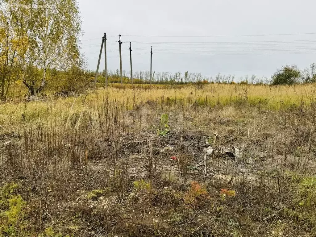 Участок в Тульская область, городской округ Тула, деревня Волоть (9 м) - Фото 1