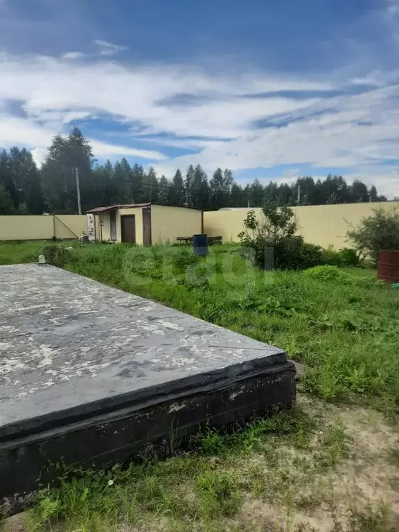 Участок в Тюменская область, Тюмень Звенящие Кедры Тюмени ТСН, ул. ... - Фото 0