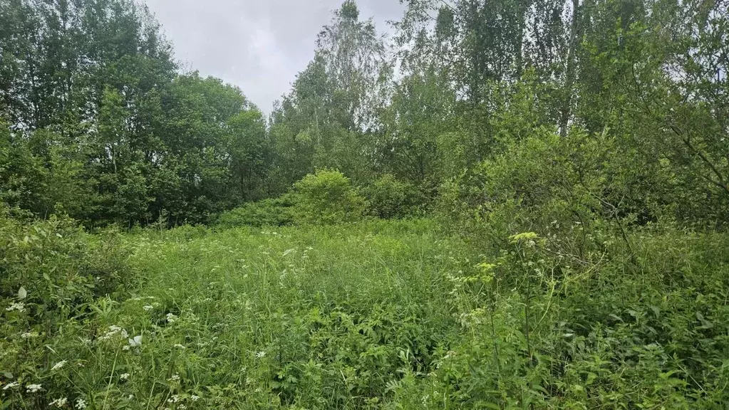 Участок в Московская область, Домодедово городской округ, д. Борисово  ... - Фото 0