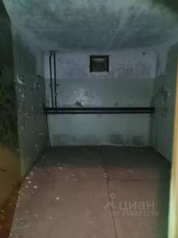 Помещение свободного назначения в Пермский край, Пермь ул. Вильямса, ... - Фото 0