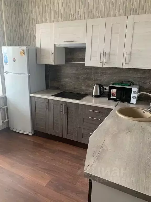 1-к кв. Московская область, Пушкино Надсоновская ул., 24 (60.0 м) - Фото 2