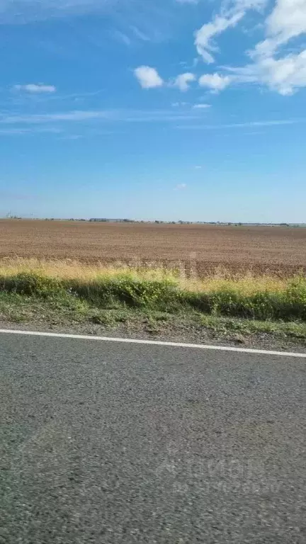 Участок в Крым, Раздольненский район, Березовское с/пос, с. Березовка ... - Фото 0