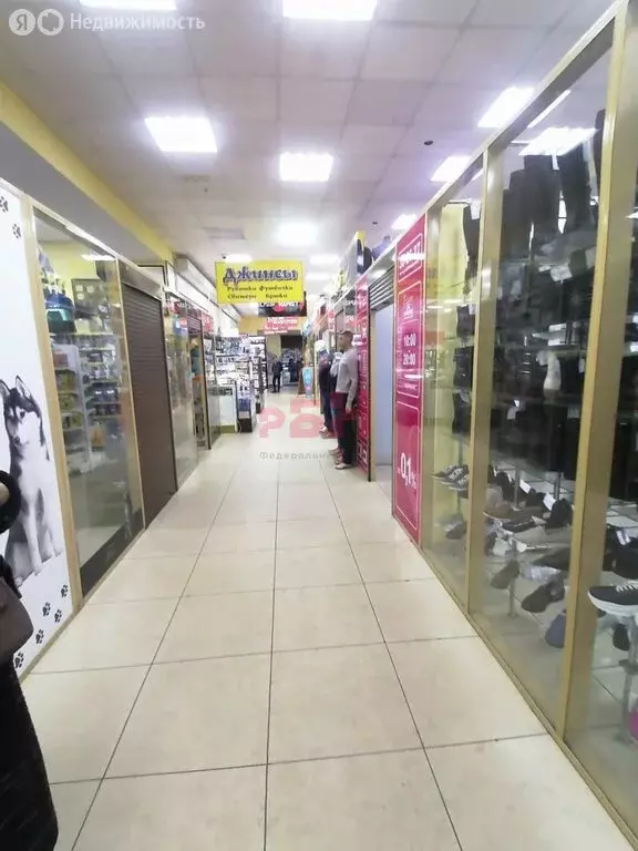 Торговая площадь (3825 м) - Фото 2