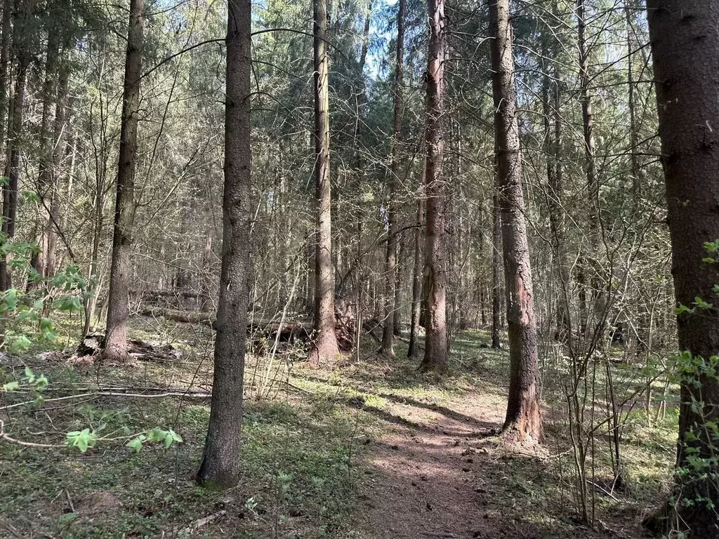 Участок 8 сот. (ИЖС) - Фото 1