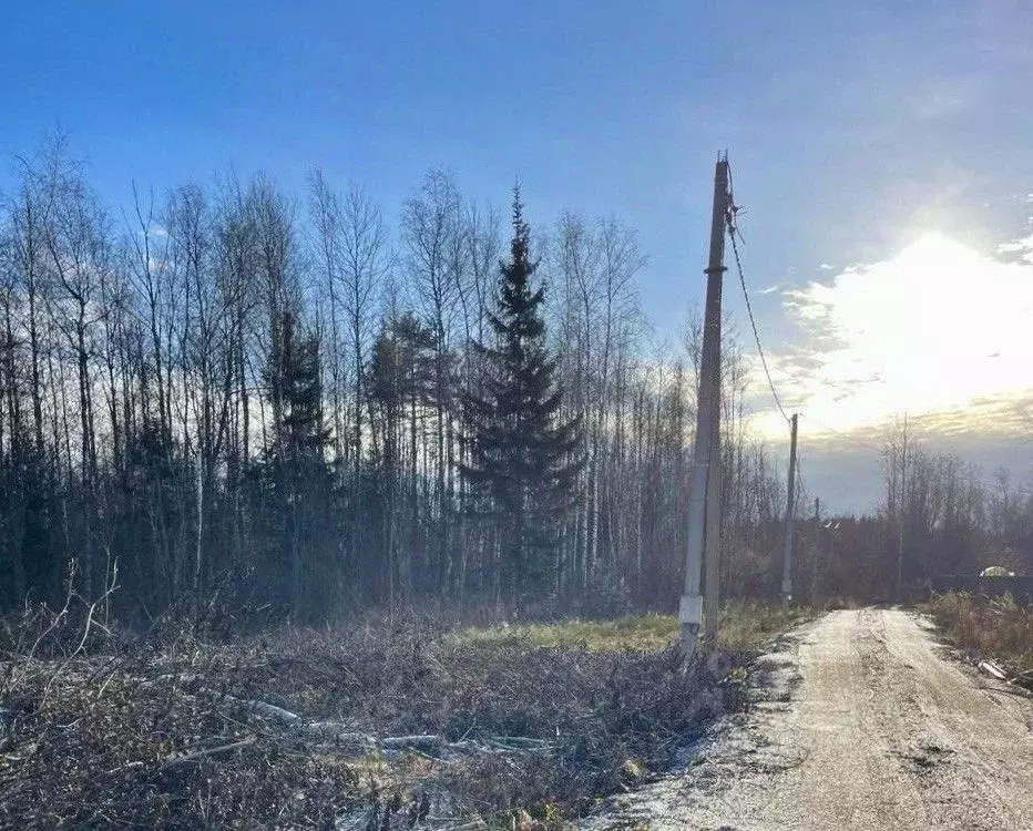 Участок в Новгородская область, Валдай Лесхозная ул. (10.0 сот.) - Фото 2