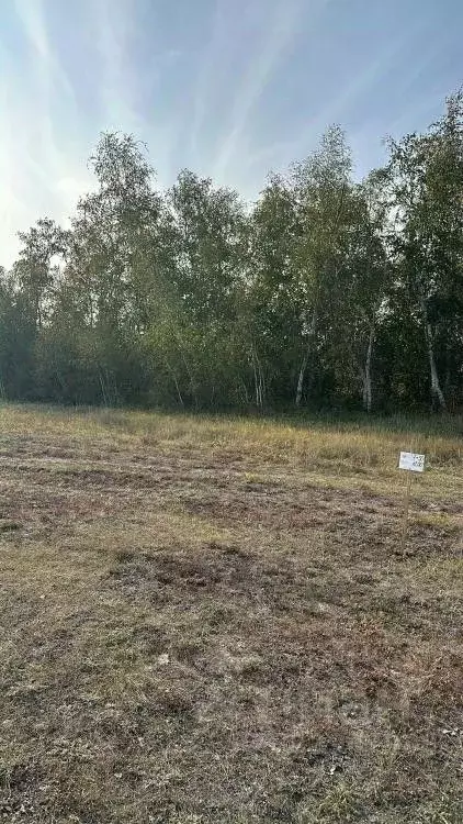 Участок в Саха (Якутия), Якутск Северный кв-л,  (10.0 сот.) - Фото 2