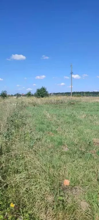 Участок в Курская область, Курский район, Моковский сельсовет, д. 2-я ... - Фото 1