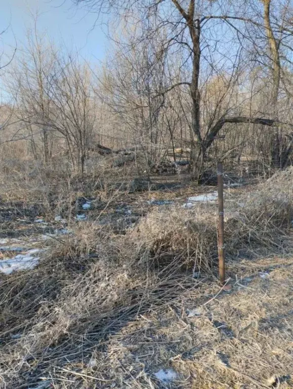 Участок в Приморский край, Ханкайский муниципальный округ, с. ... - Фото 1