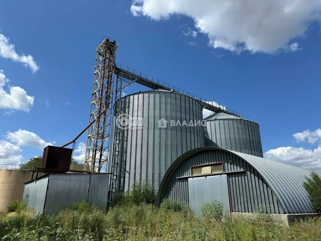 Производственное помещение в Воронежская область, Лиски Фестивальная ... - Фото 1