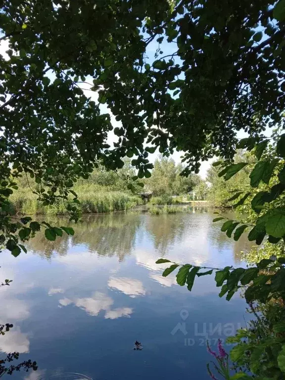 Дом в Нижегородская область, Нижний Новгород Сокол СНТ,  (24 м) - Фото 1