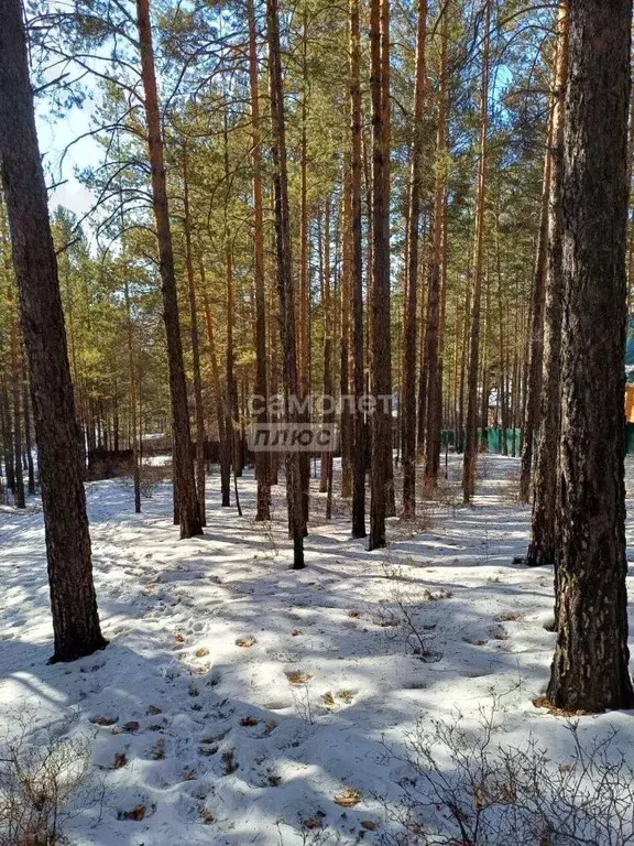 Участок в Забайкальский край, Читинский район, Атамановское городское ... - Фото 1