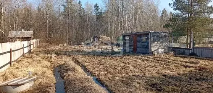 Дом в Ленинградская область, Киришский район, Глажевское с/пос, д. ... - Фото 2