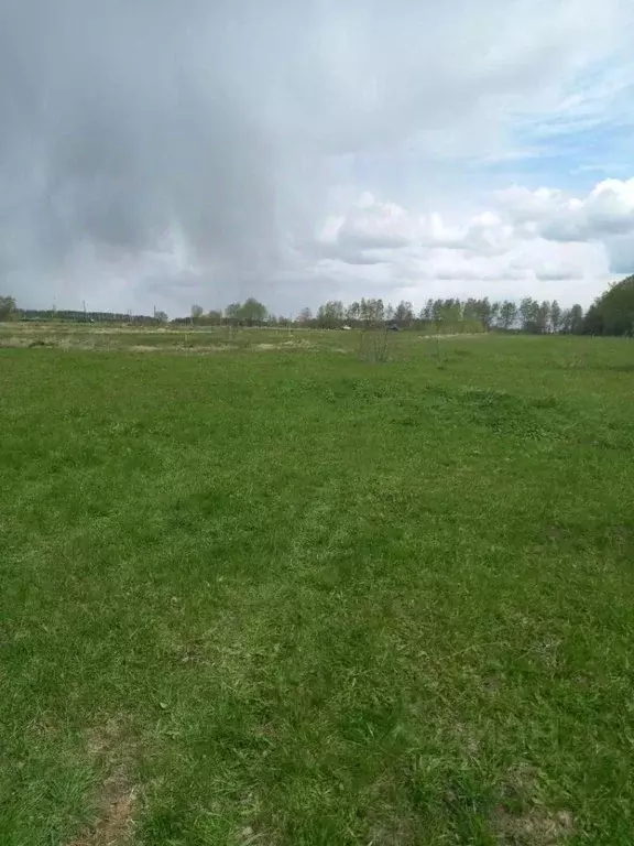 Участок в Московская область, Кашира городской округ Р-22 Каспий, ... - Фото 0