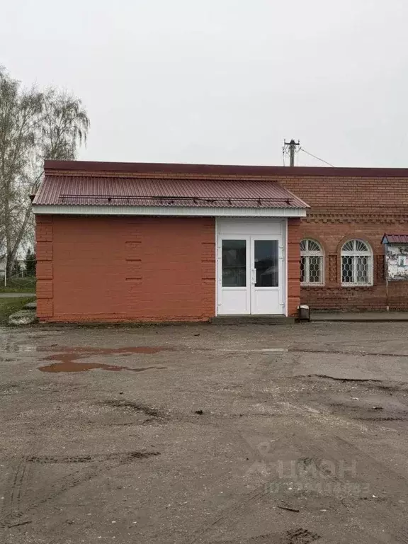 Помещение свободного назначения в Самарская область, Ставропольский ... - Фото 2