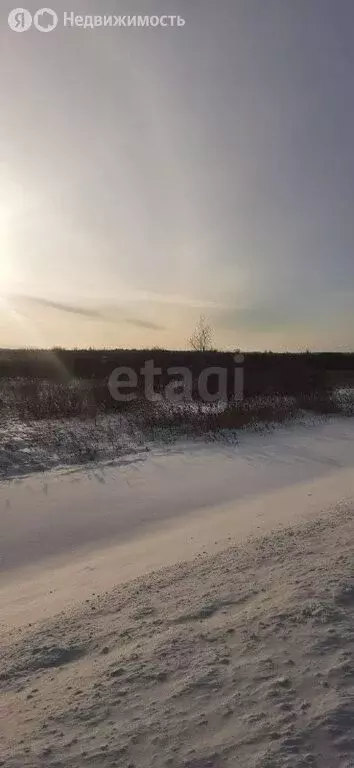 Участок в Тюменский муниципальный округ, деревня Криводанова (52 м) - Фото 2