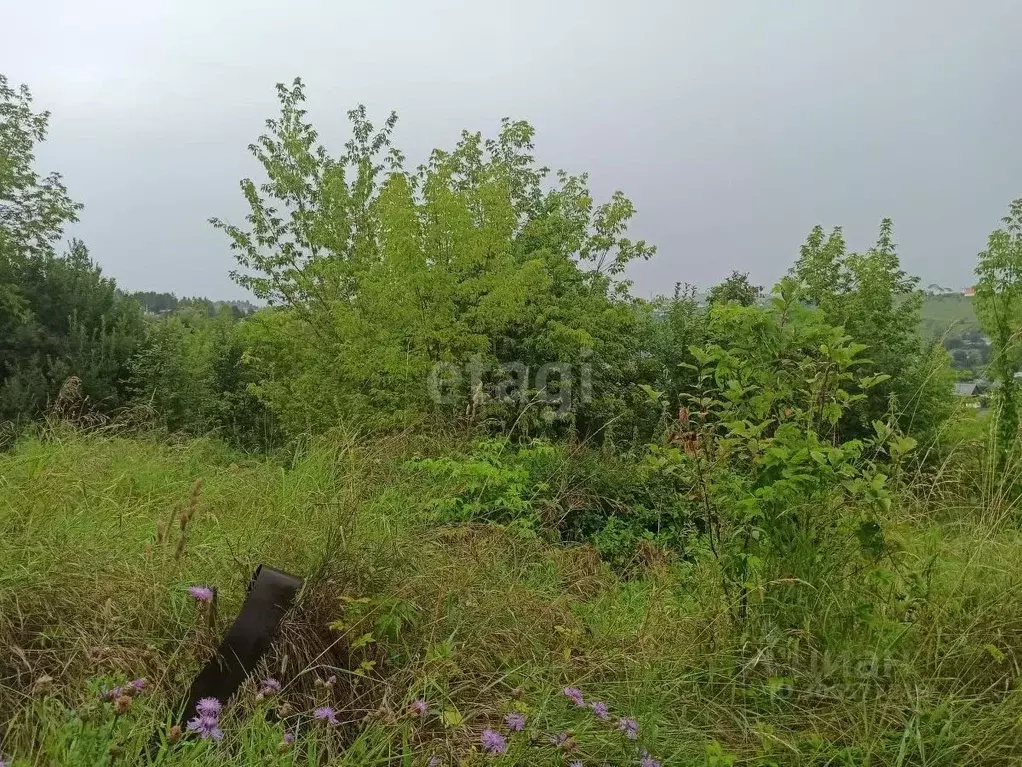 Участок в Алтай, Горно-Алтайск Кооператор садоводческое товарищество,  ... - Фото 1