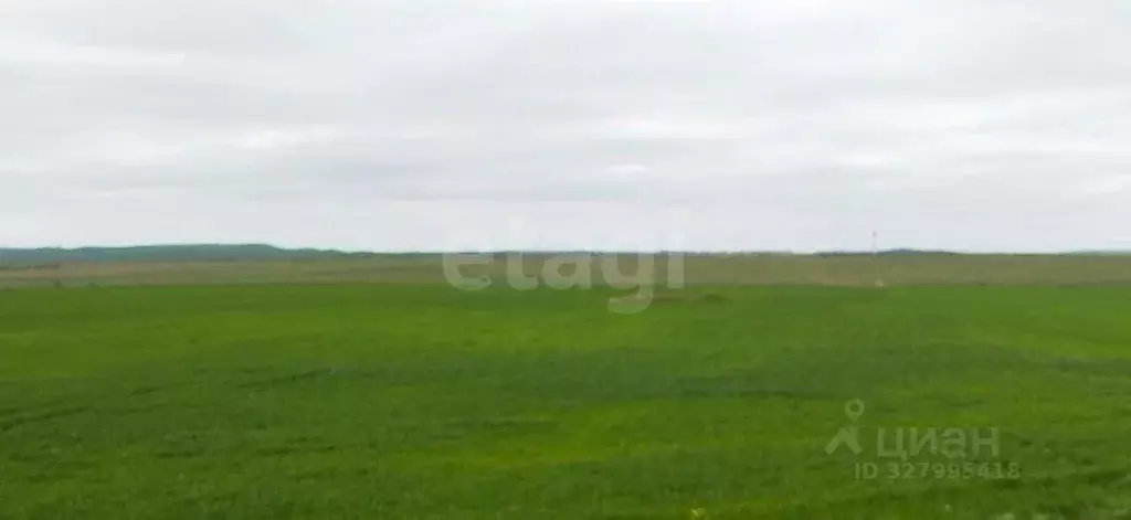 Участок в Крым, Ленинский район, Заветненское с/пос, с. Заветное ул. ... - Фото 1