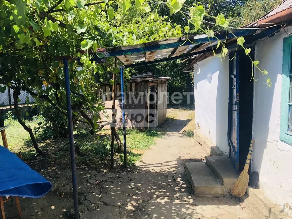 Дом в Краснодарский край, Апшеронск ул. Комарова (33 м) - Фото 2