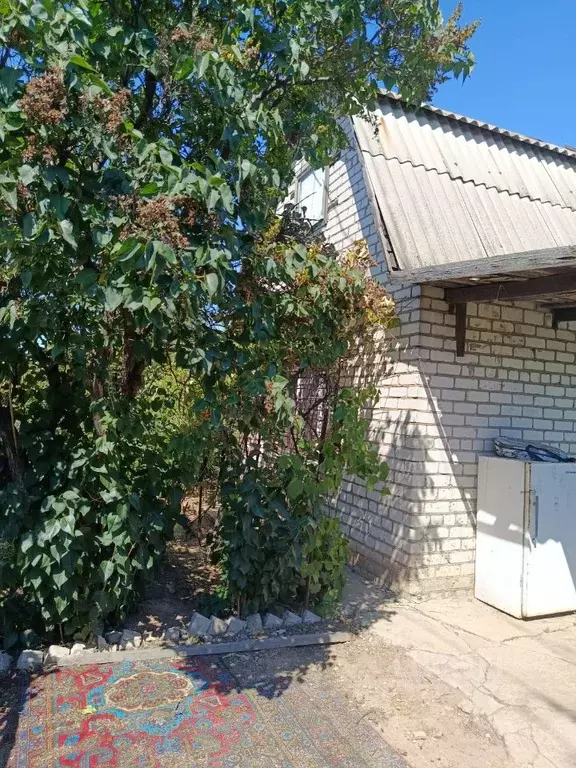 Дом в Волгоградская область, Волгоград Татьянка СНТ,  (33 м) - Фото 1