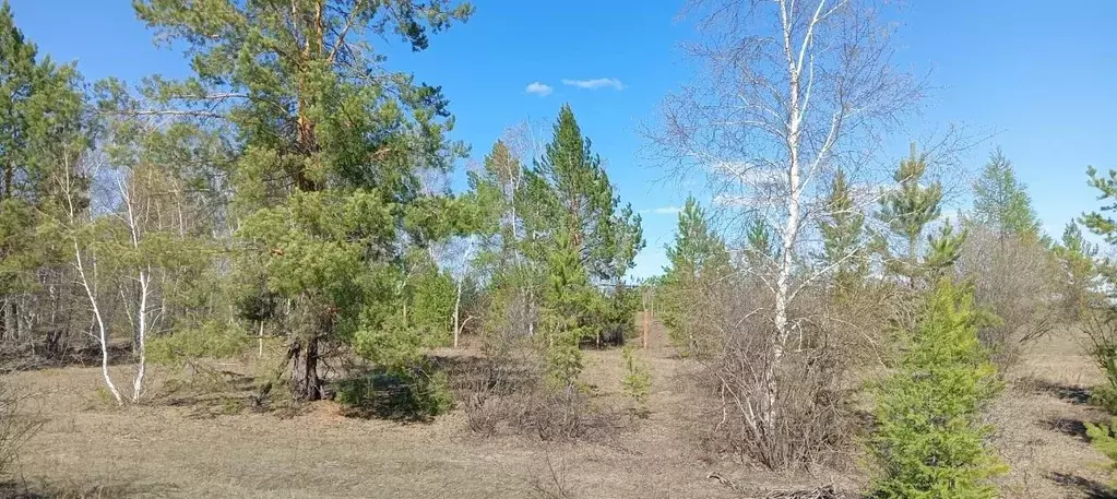 Участок в Саха (Якутия), Якутск городской округ, с. Тулагино ул. Новая ... - Фото 0