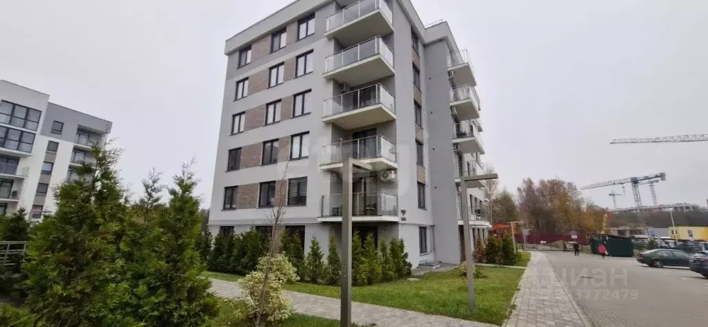 1-к кв. Калининградская область, Светлогорск Ольховая ул., 19к5 (43.0 ... - Фото 2