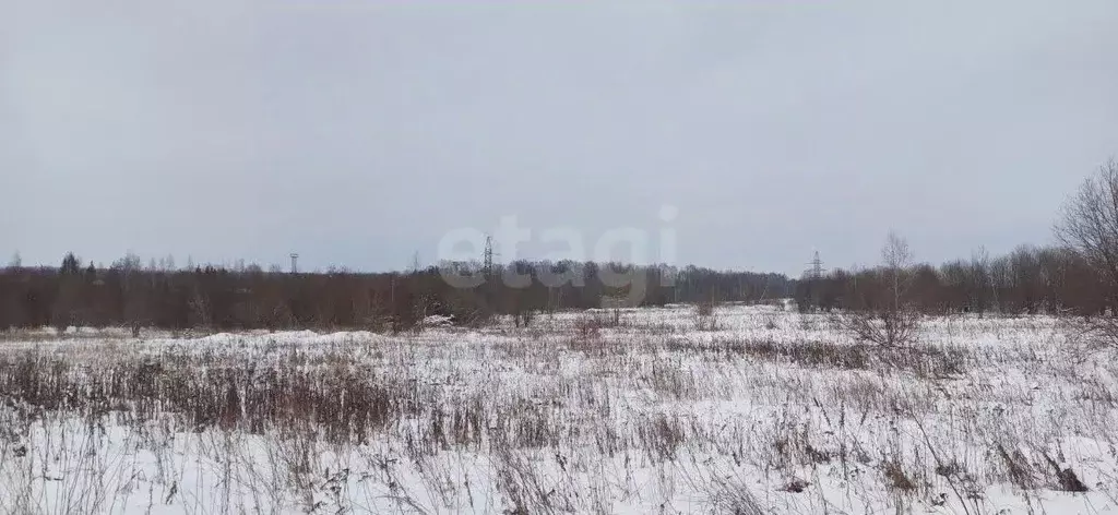 Участок в Вологодская область, Шексна рп ул. Беговая (15.0 сот.) - Фото 1