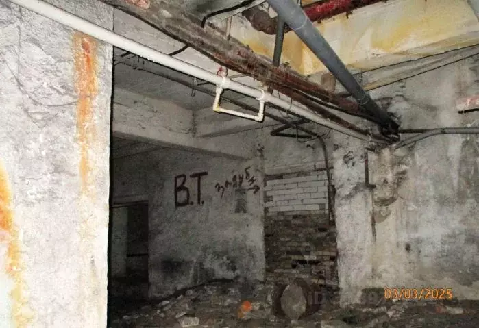 Помещение свободного назначения в Нижегородская область, Нижний ... - Фото 1