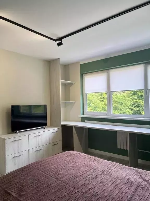 1-к кв. Краснодарский край, Сочи городской округ, с. Раздольное ул. ... - Фото 2