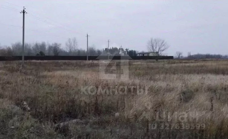 Участок в Воронежская область, Новоусманский район, Хреновское с/пос, ... - Фото 2