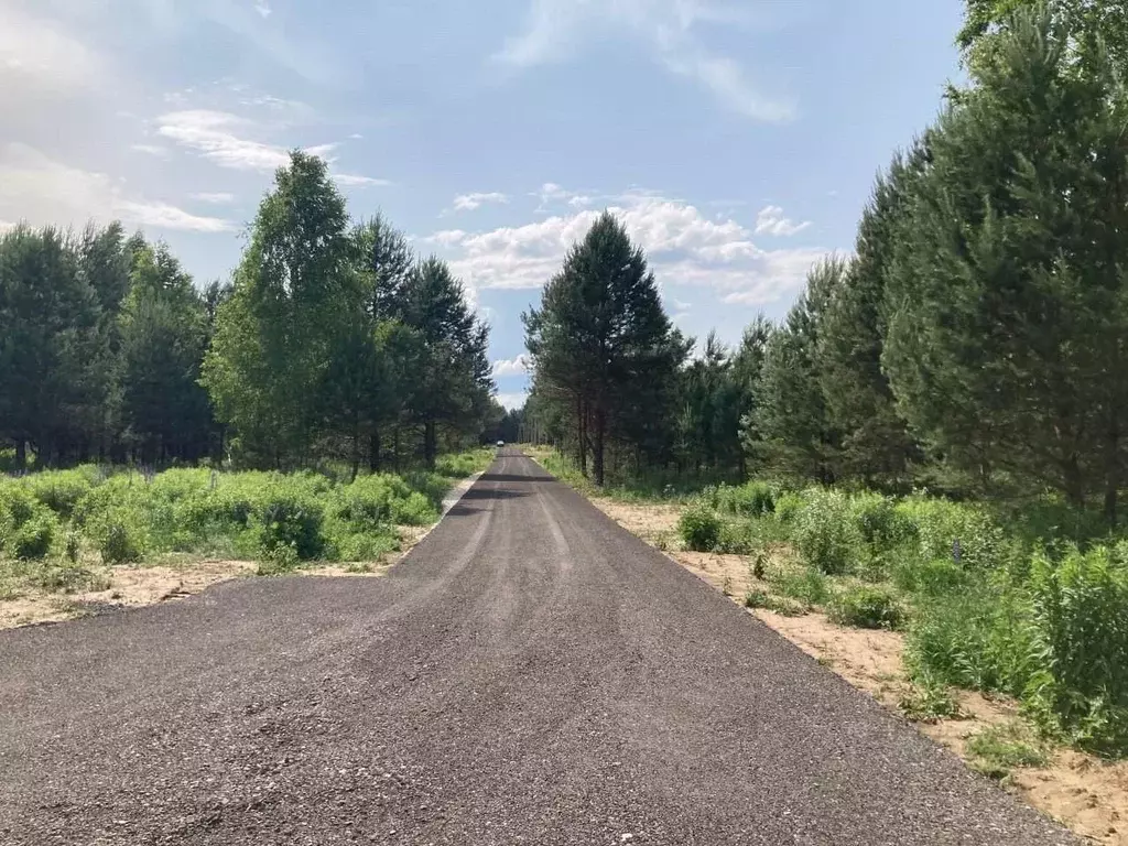 Участок в Нижегородская область, Бор муниципальный округ, с. ... - Фото 2