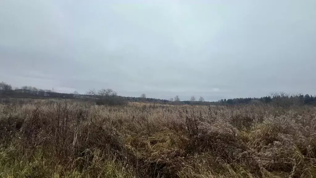 Участок в Московская область, Истра ул. Ленина, Река Истра (14.99 ... - Фото 1