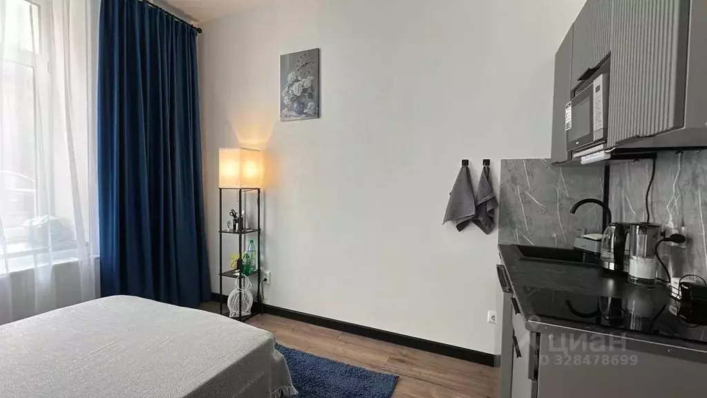 Студия Санкт-Петербург ул. Чайковского, 44 (20.0 м) - Фото 1